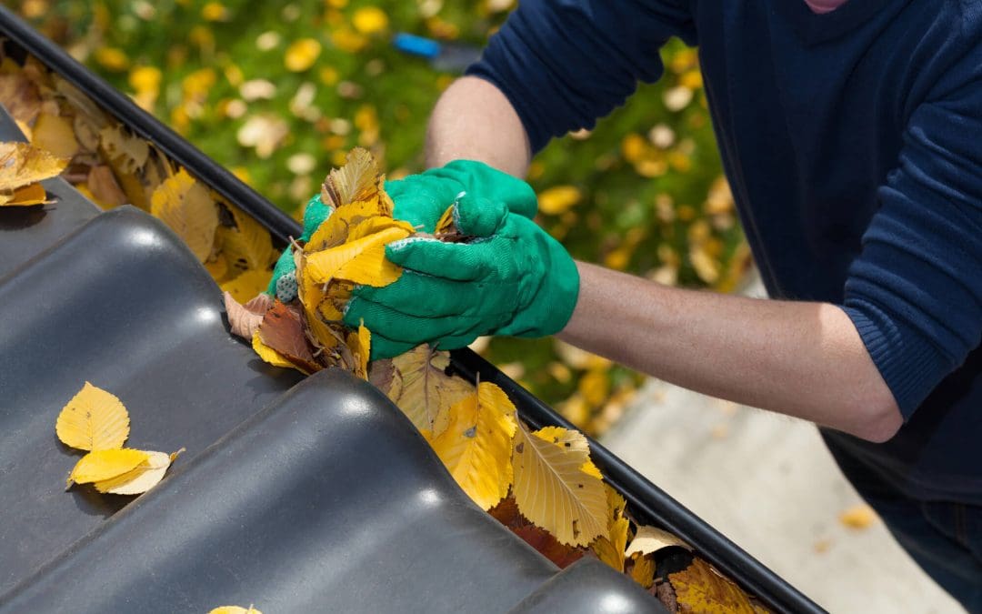 Clean Your Gutters