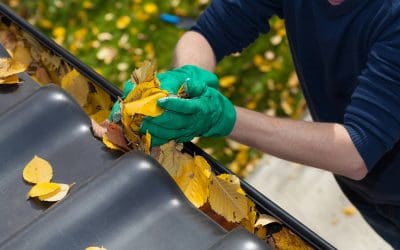 How to Clean Your Gutters: A Step-by-Step Guide